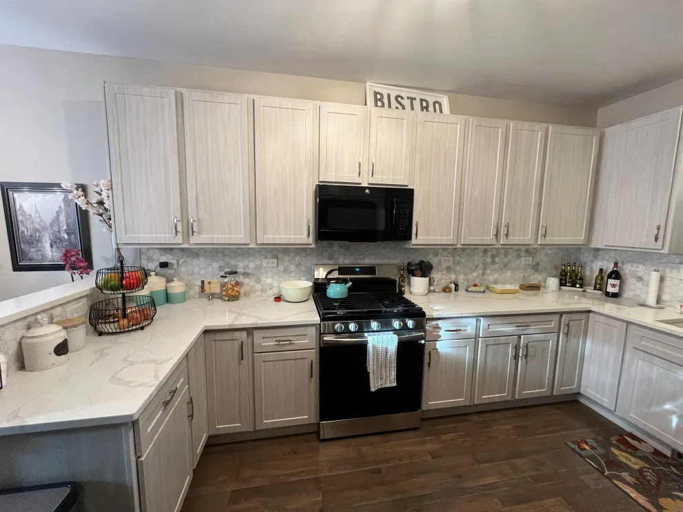Swiss Elm Skye Cabinets Transitional Kitchen Renovation by Kitchen Solvers Of Grayslake - Photo 9
