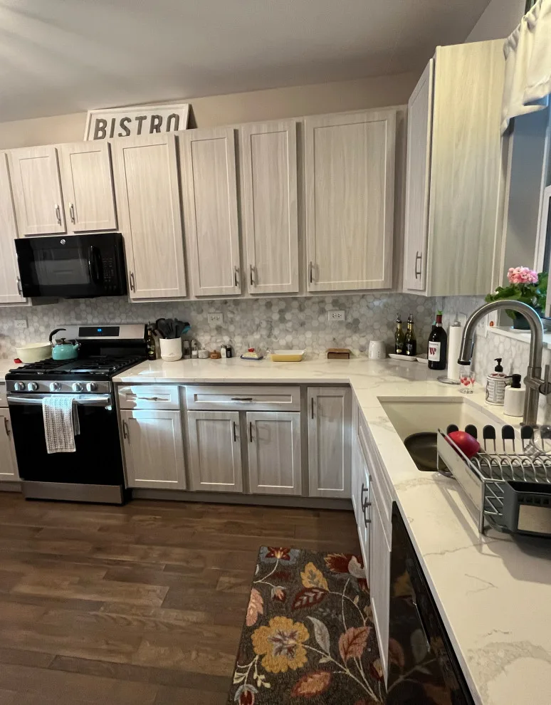 Swiss Elm Skye Cabinets Transitional Kitchen Renovation by Kitchen Solvers Of Grayslake - Photo 6