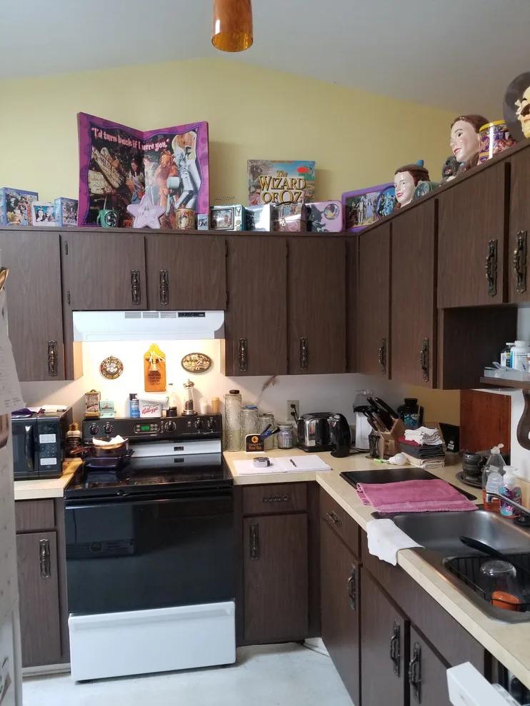 White Transitional Kitchen Renovation by Kitchen Solvers Of Orlando - Photo 2