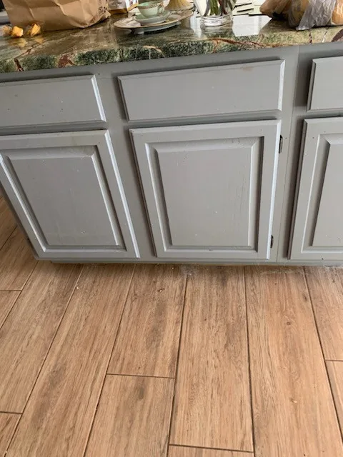 Redooring-Focused Kitchen Renovation by Kitchen Solvers Of Orlando - Photo 4