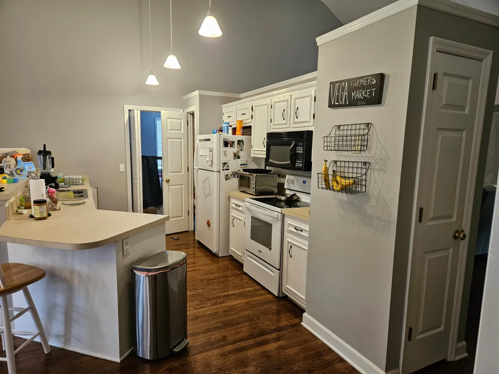 Sandstone Cabinet Transitional Kitchen Renovation by Kitchen Solvers Of Spring Hill - Photo 7