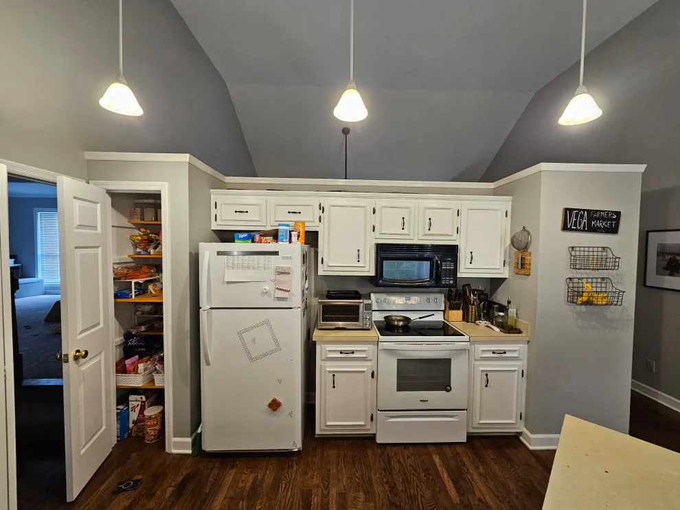 Sandstone Cabinet Transitional Kitchen Renovation by Kitchen Solvers Of Spring Hill - Photo 6