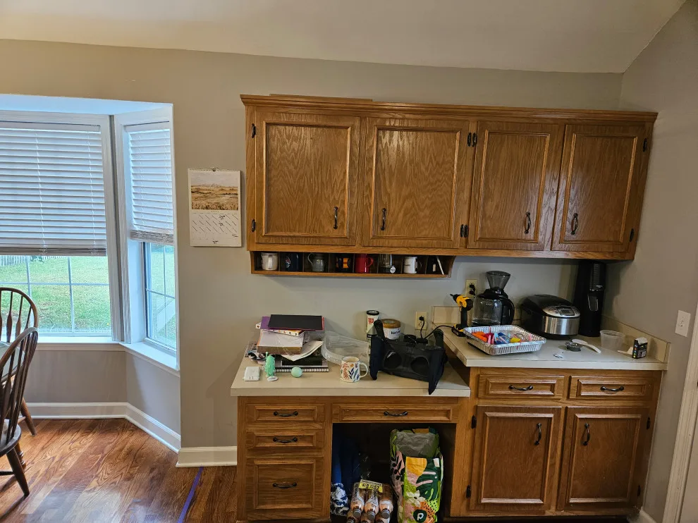 Sandstone Cabinet Transitional Kitchen Renovation by Kitchen Solvers Of Spring Hill - Photo 21