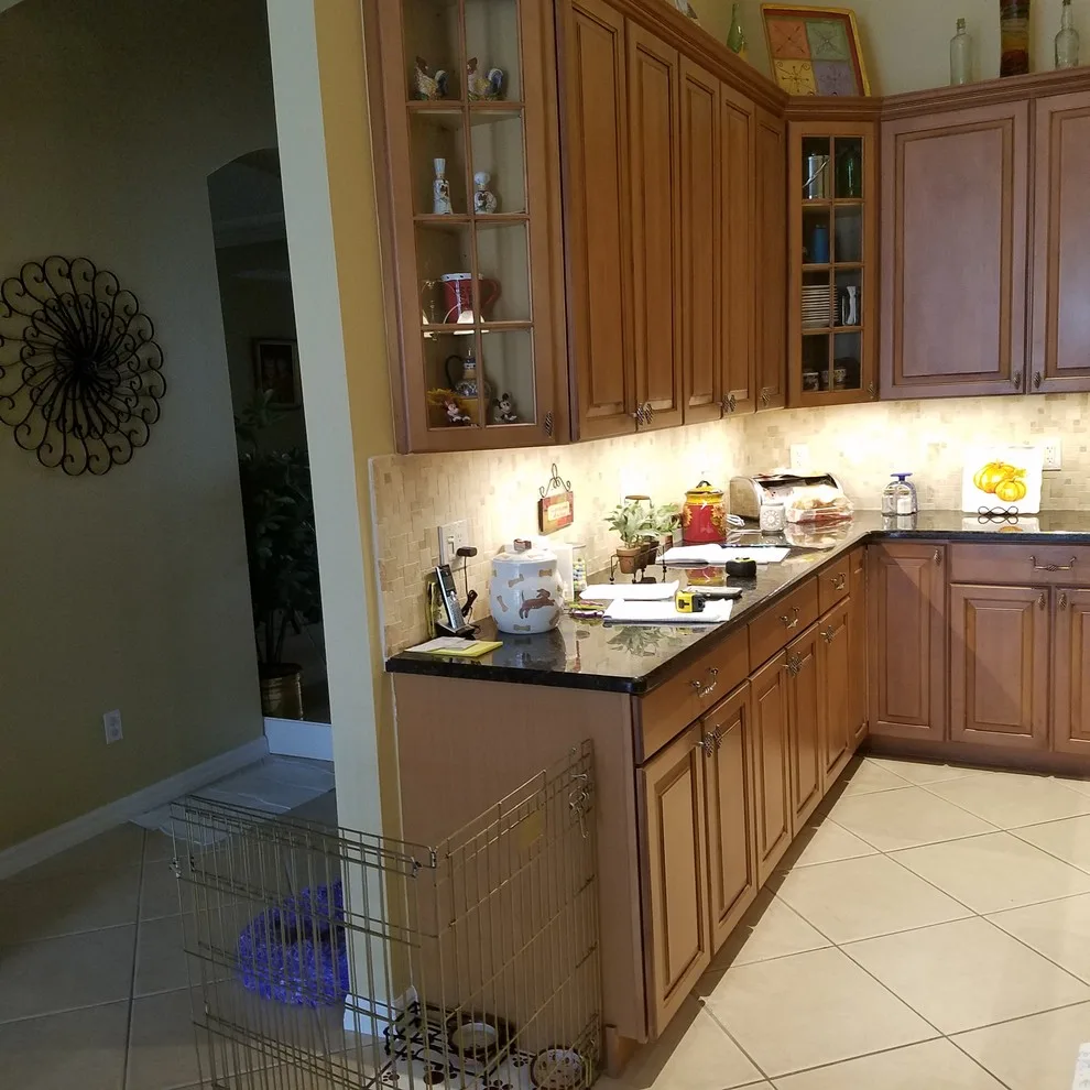 Pearl Sheen Transitional Kitchen Renovation Completed by Kitchen Solvers Of Orlando - Photo 2
