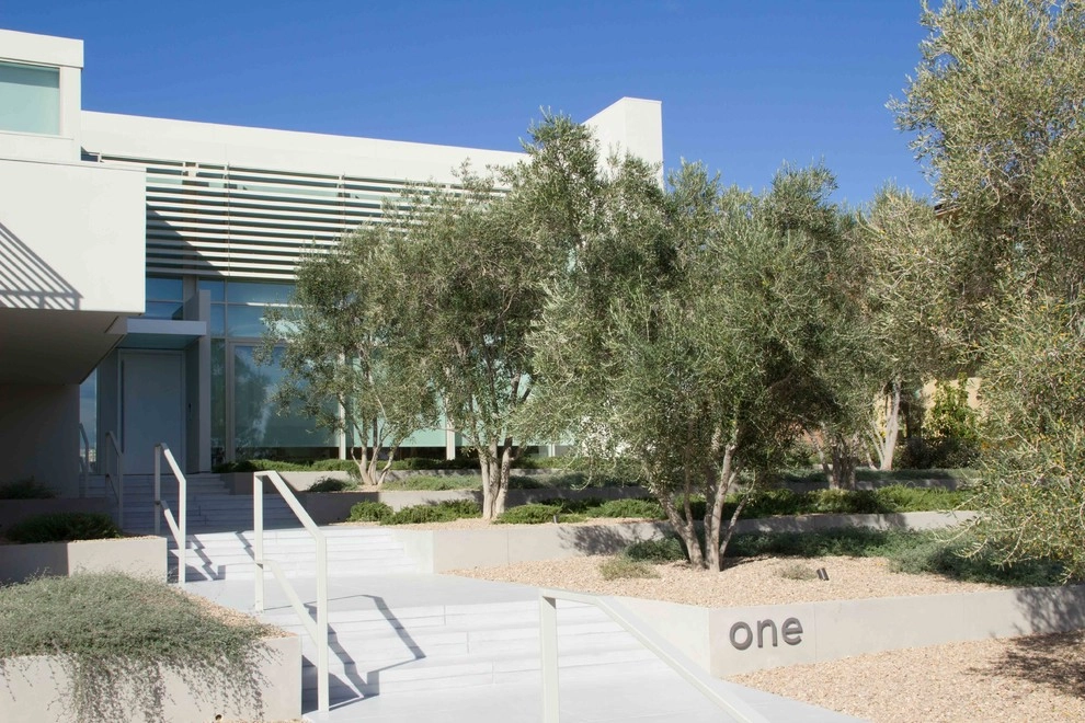Summerlin Azure Residence K by Attanasio Landscape Architecture - Photo 4