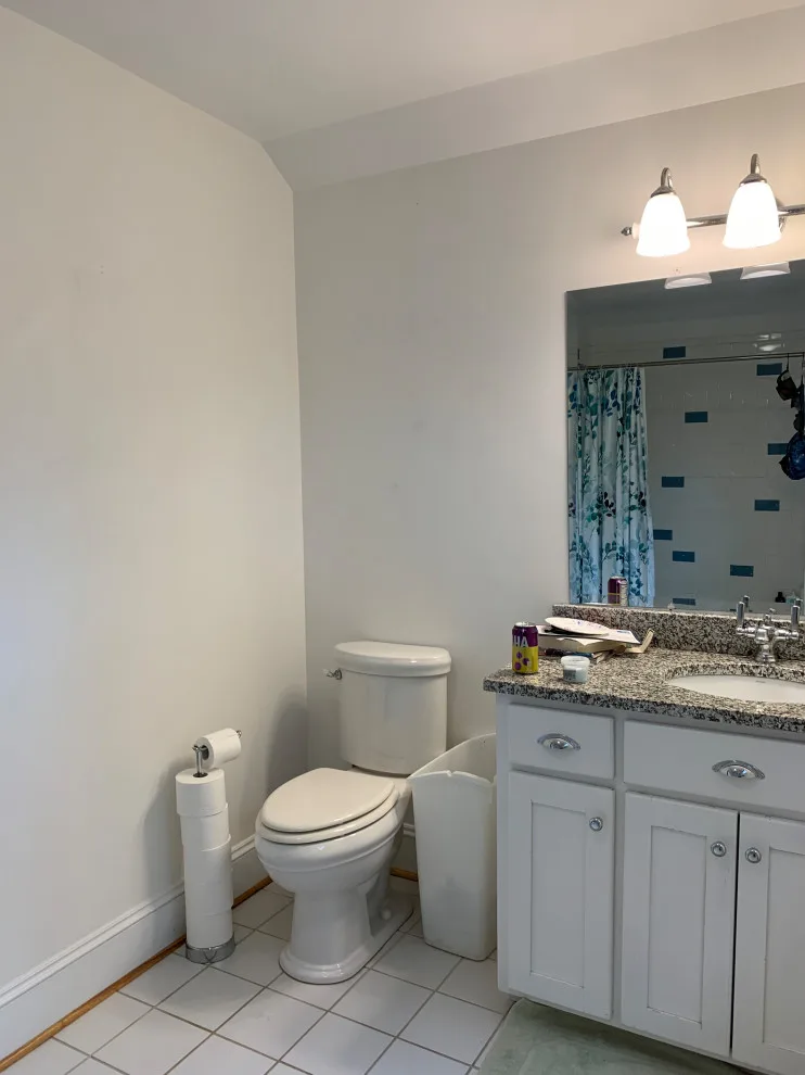 Lively Bathroom Renovation by Align Design LLC - Photo 4