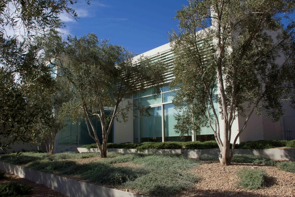 Summerlin Azure Residence K by Attanasio Landscape Architecture - Photo 3