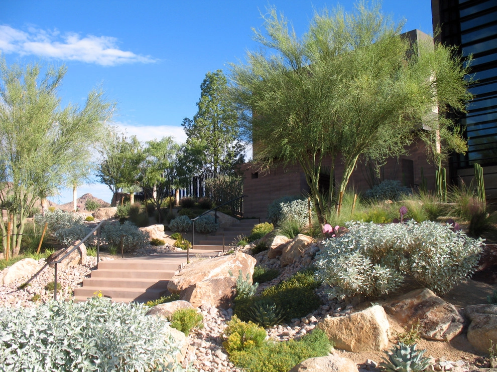 Summerlin - Rim Rock Residence L by Attanasio Landscape Architecture - Photo 2