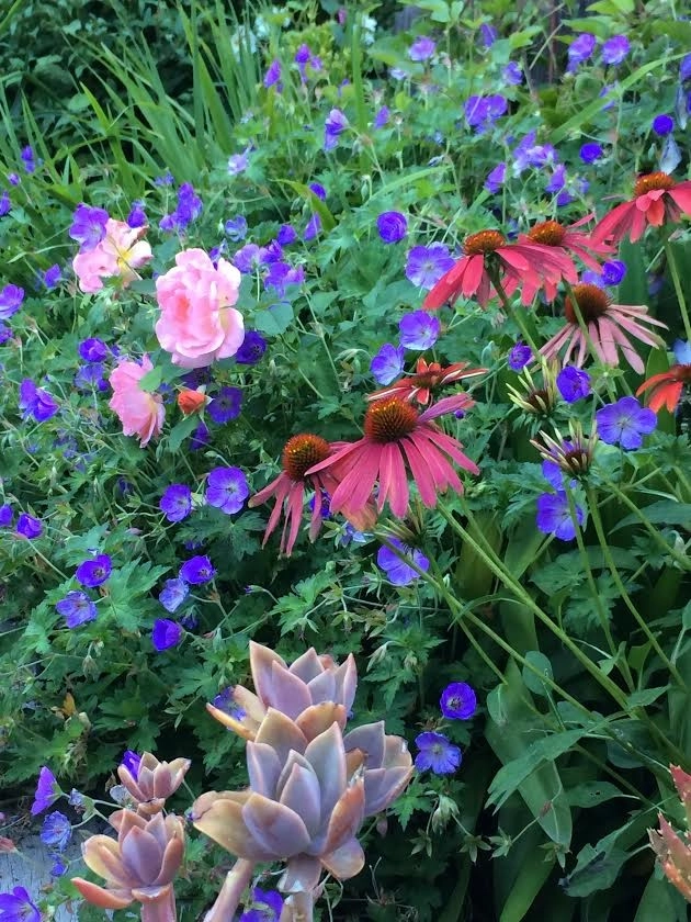 Sonoma County Impressionist Garden by Rosmarin Landscape Design - Photo 36
