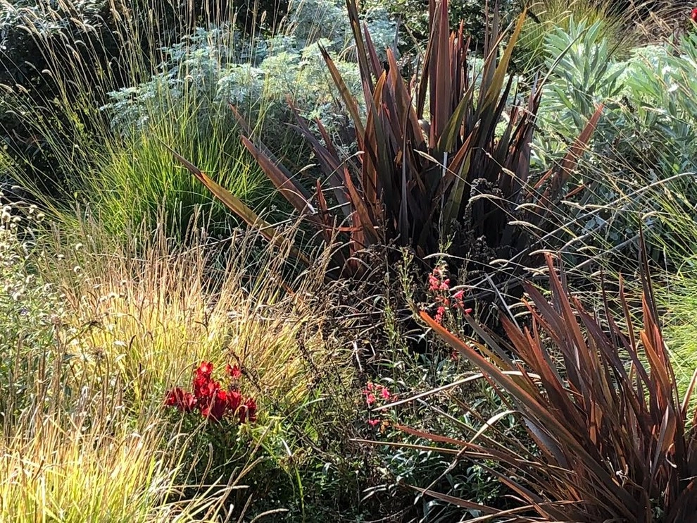 Sonoma County Impressionist Garden by Rosmarin Landscape Design - Photo 4