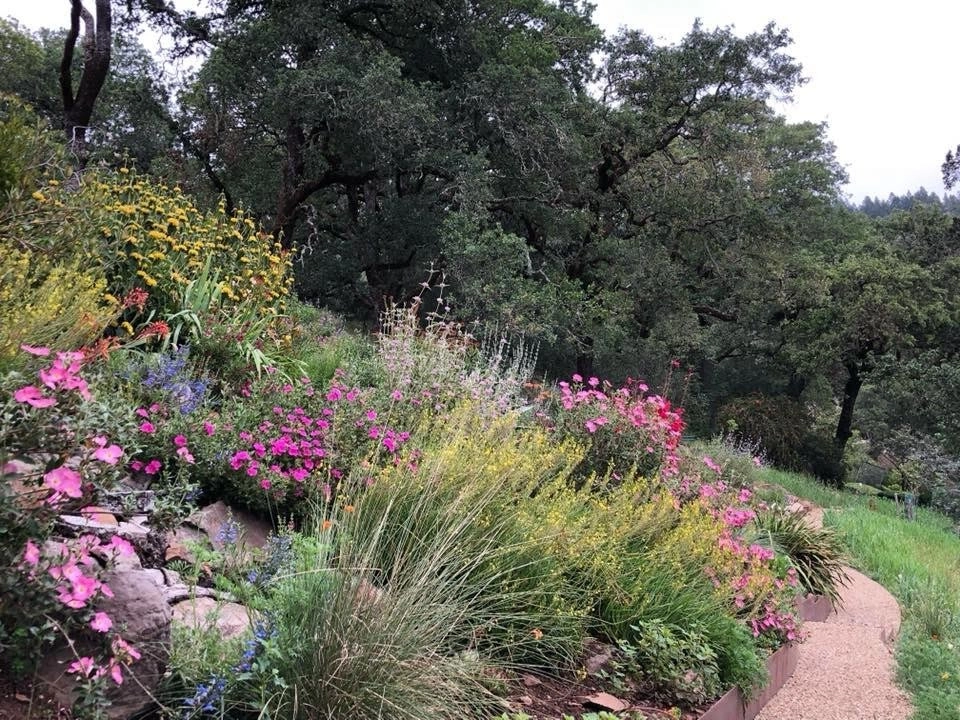 Sonoma County Impressionist Garden by Rosmarin Landscape Design - Photo 28