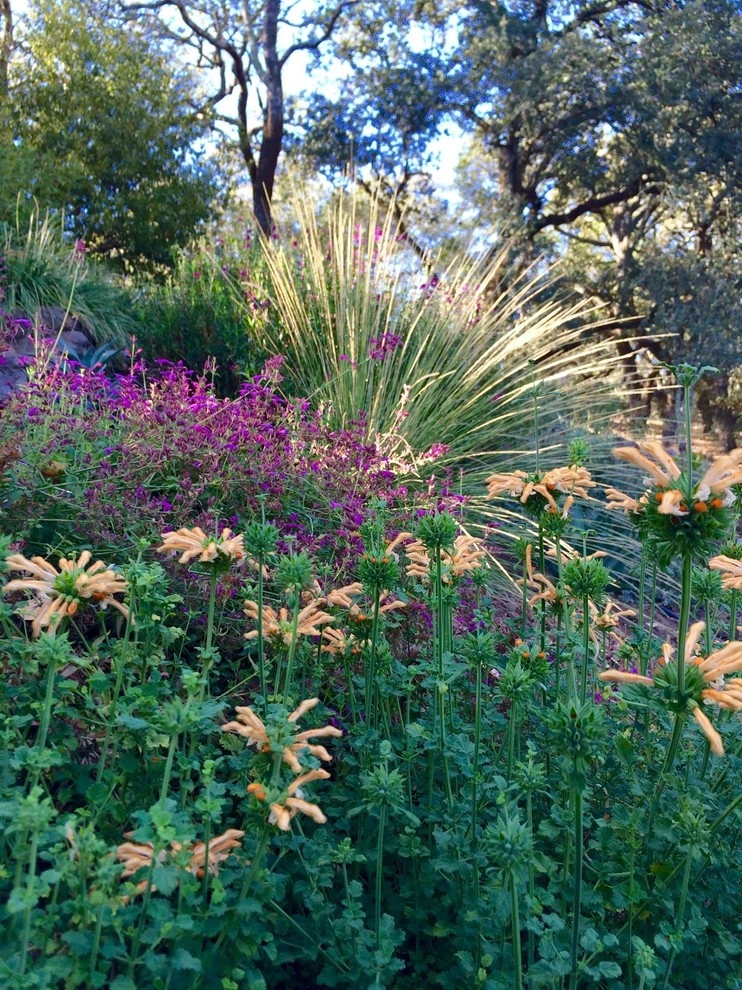 Sonoma County Impressionist Garden by Rosmarin Landscape Design - Photo 38