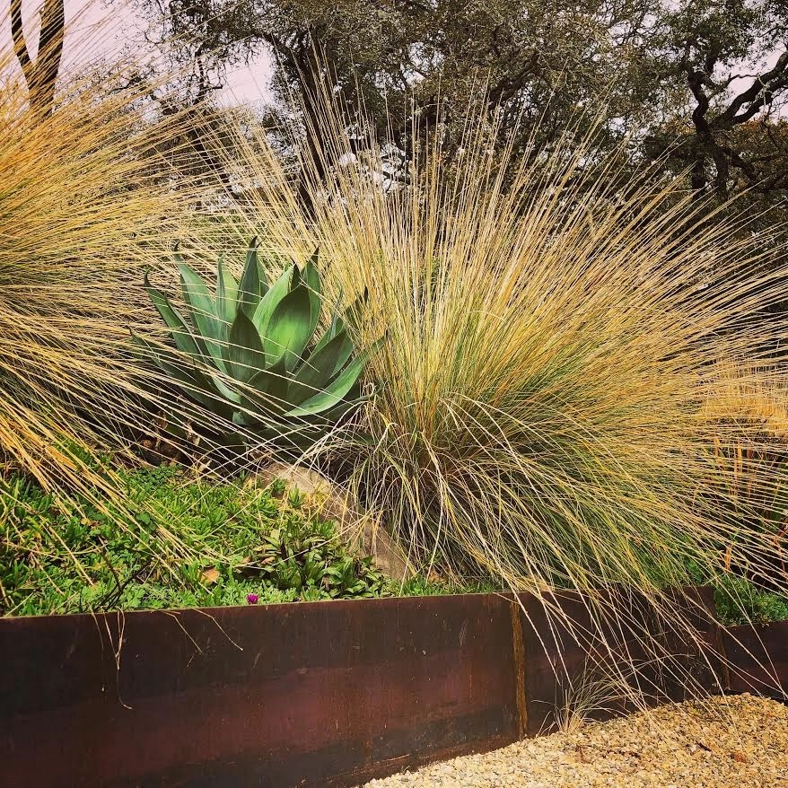 Sonoma County Impressionist Garden by Rosmarin Landscape Design - Photo 35