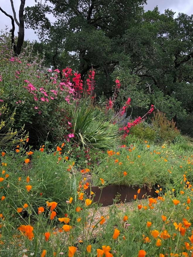 Sonoma County Impressionist Garden by Rosmarin Landscape Design - Photo 45