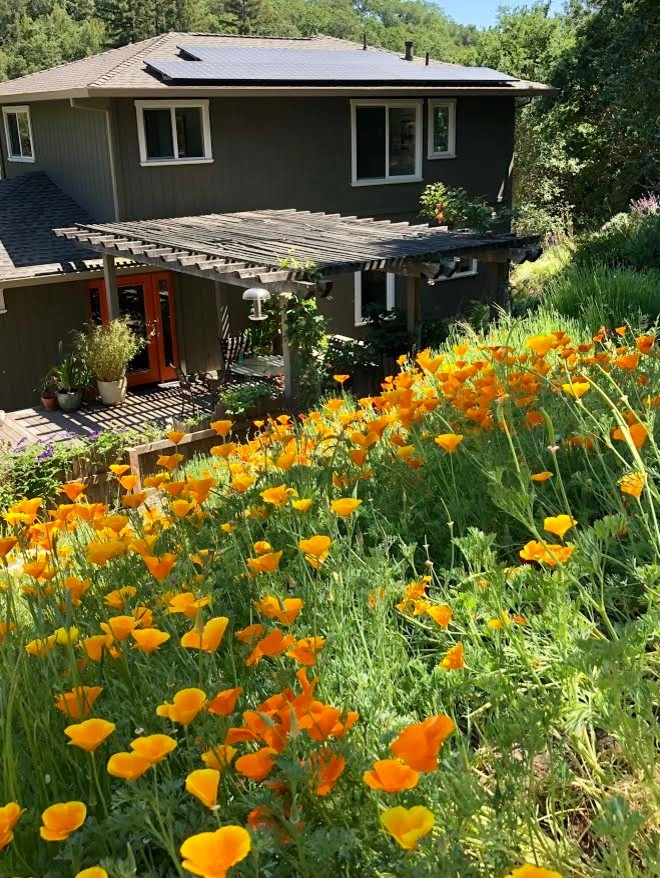 Sonoma County Impressionist Garden by Rosmarin Landscape Design - Photo 32