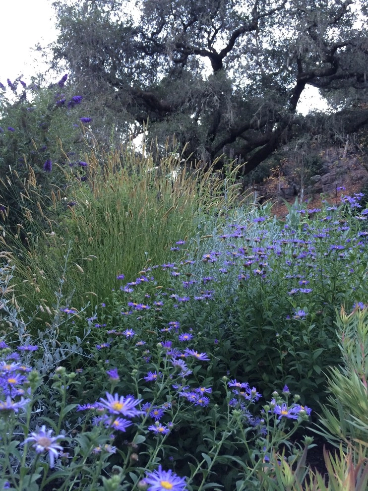 Sonoma County Impressionist Garden by Rosmarin Landscape Design - Photo 34