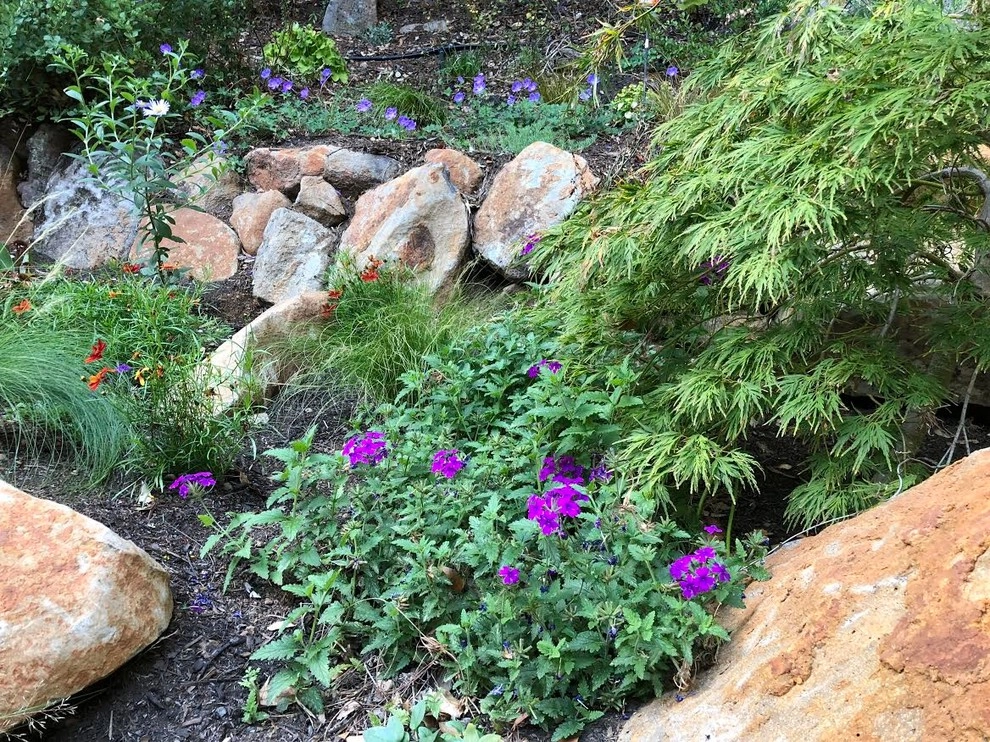 Waterfall Hillside Garden, Sonoma County by Rosmarin Landscape Design - Photo 2