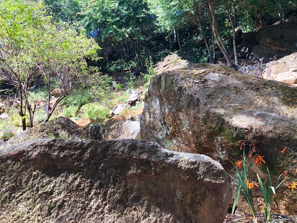 Waterfall Hillside Garden, Sonoma County by Rosmarin Landscape Design - Photo 8