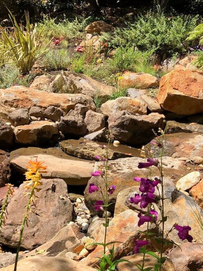 Waterfall Hillside Garden, Sonoma County by Rosmarin Landscape Design - Photo 3