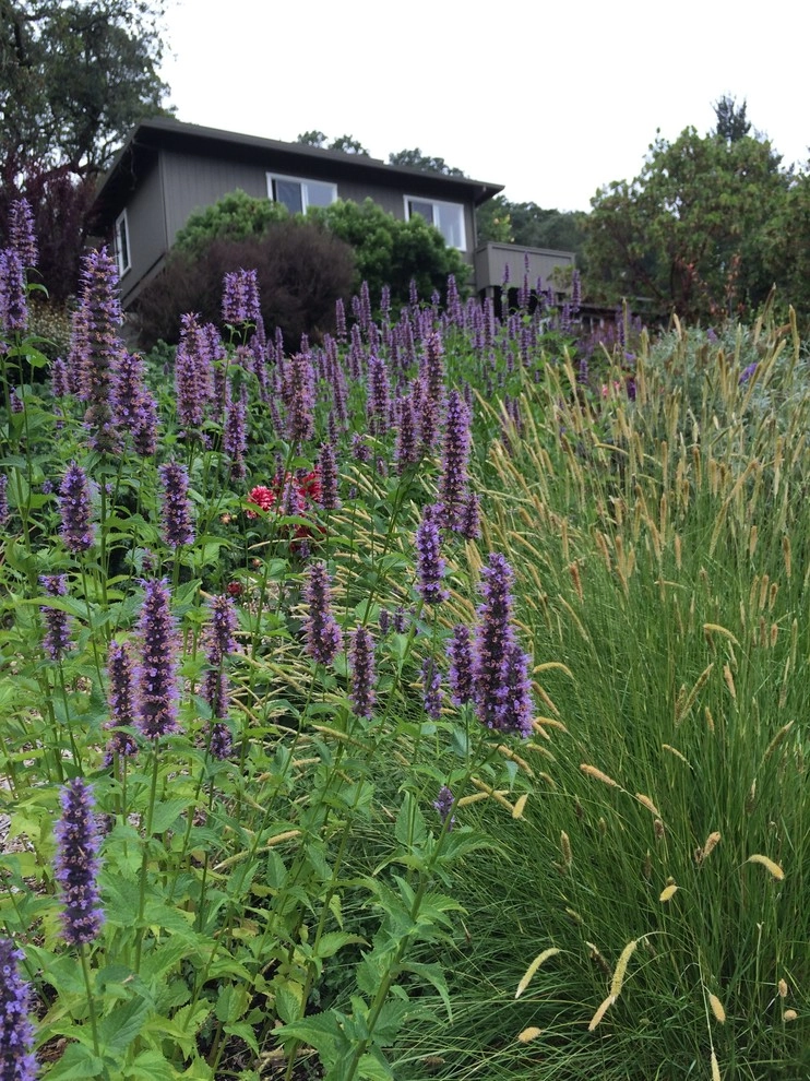 Sonoma County Impressionist Garden by Rosmarin Landscape Design - Photo 22