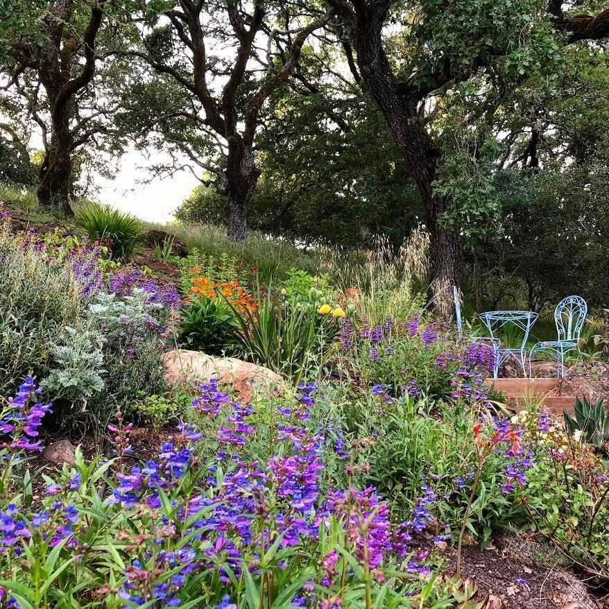 Sonoma County Impressionist Garden by Rosmarin Landscape Design - Photo 17