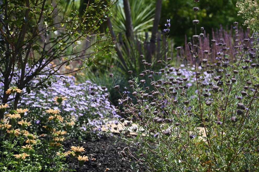 Santa Rosa Front Garden by Rosmarin Landscape Design - Photo 3