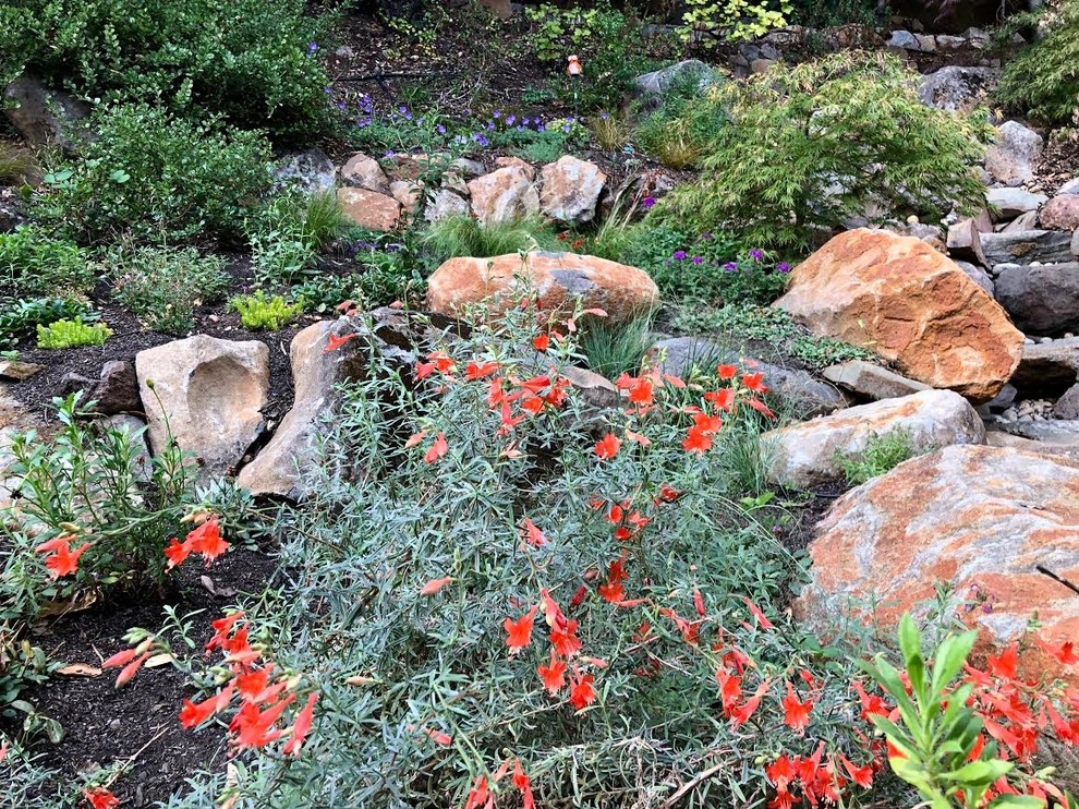 Waterfall Hillside Garden, Sonoma County by Rosmarin Landscape Design - Photo 5