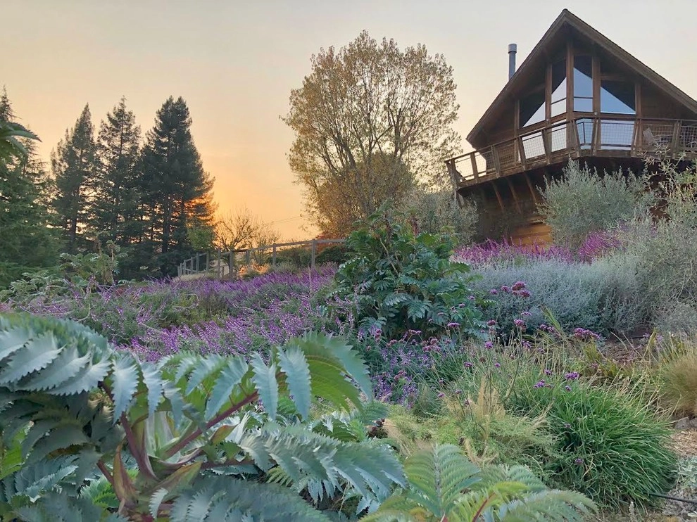 Taylor Mountain Garden by Rosmarin Landscape Design - Photo 4