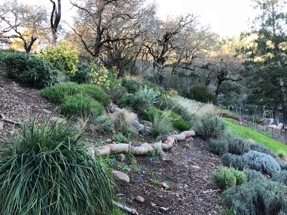 Sonoma County Impressionist Garden by Rosmarin Landscape Design - Photo 16