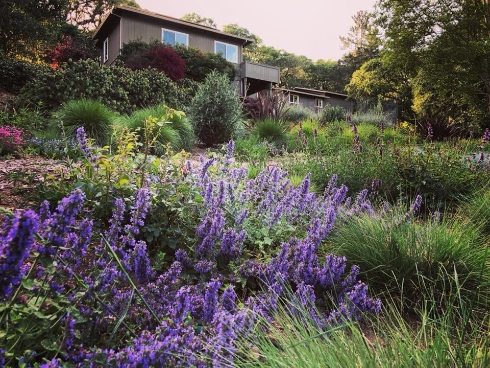Sonoma County Impressionist Garden by Rosmarin Landscape Design - Photo 37