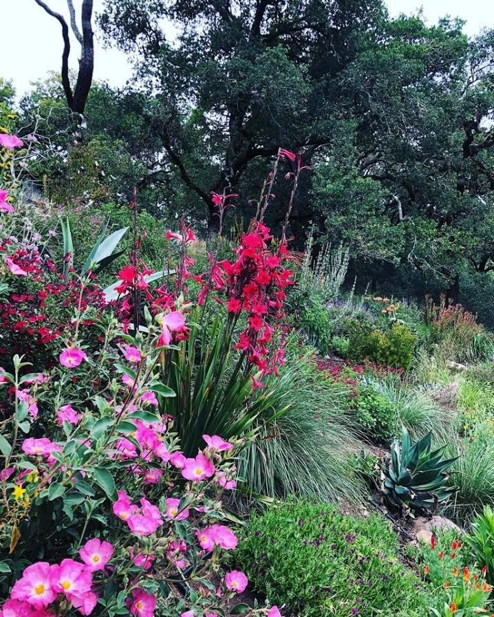Sonoma County Impressionist Garden by Rosmarin Landscape Design - Photo 18