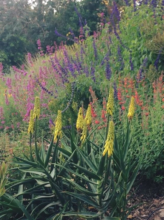 Rosmarin Landscape Design - Photo 8