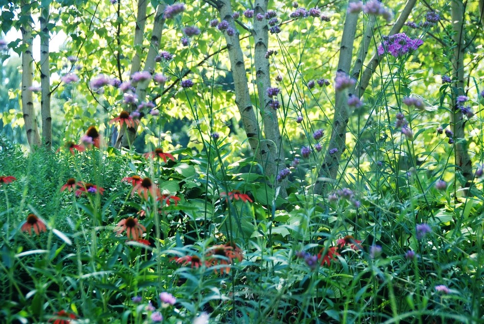 Butterfly Garden by Rosmarin Landscape Design - Photo 4