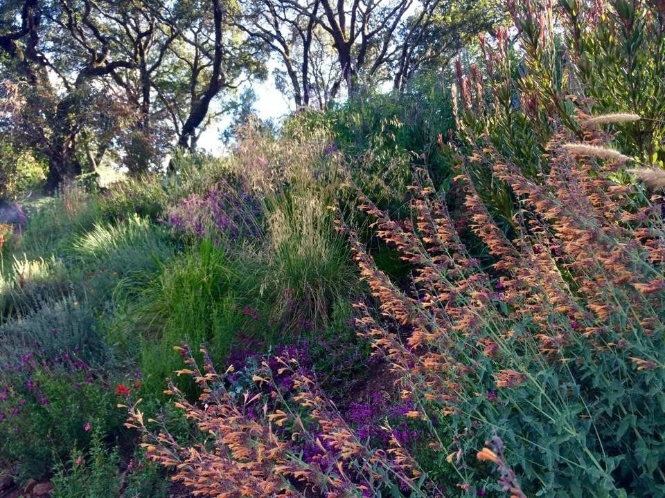 Sonoma County Impressionist Garden by Rosmarin Landscape Design - Photo 19