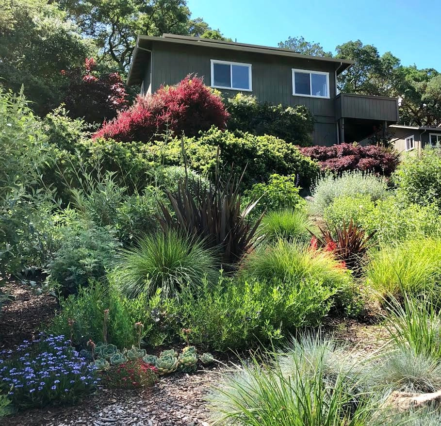 Sonoma County Impressionist Garden by Rosmarin Landscape Design - Photo 20