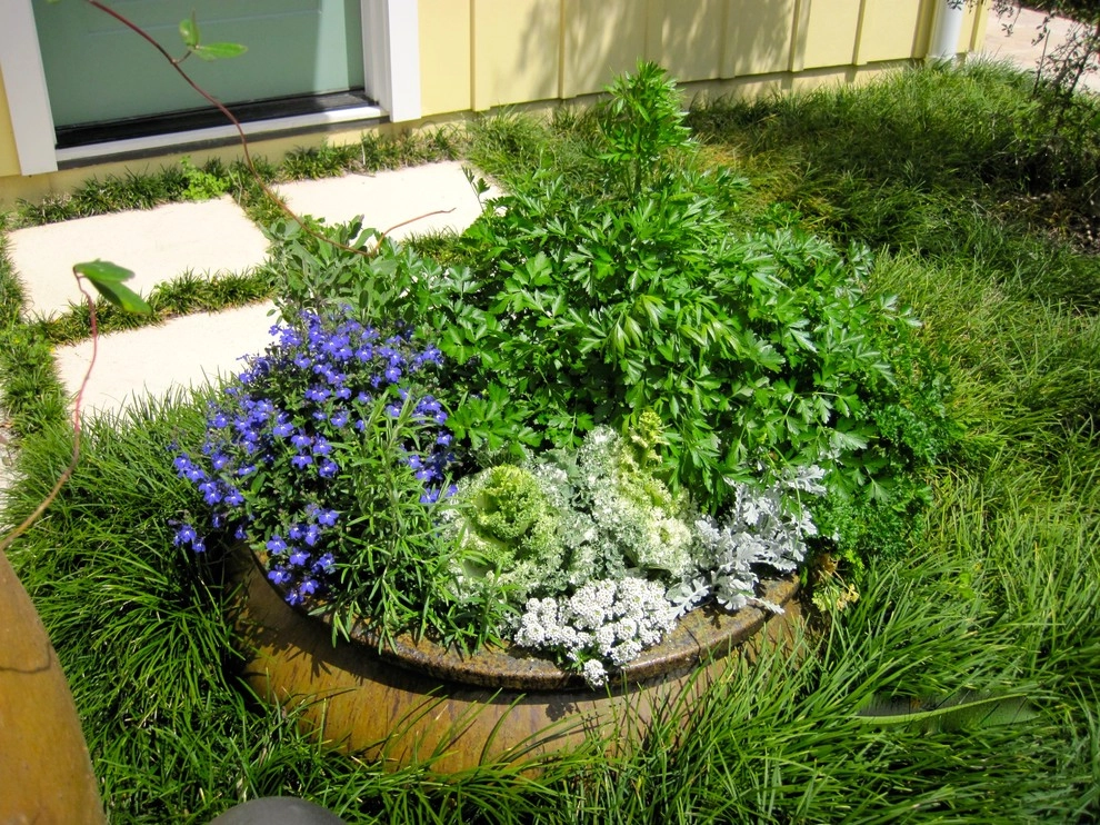 Ross Garden Design - Photo 12