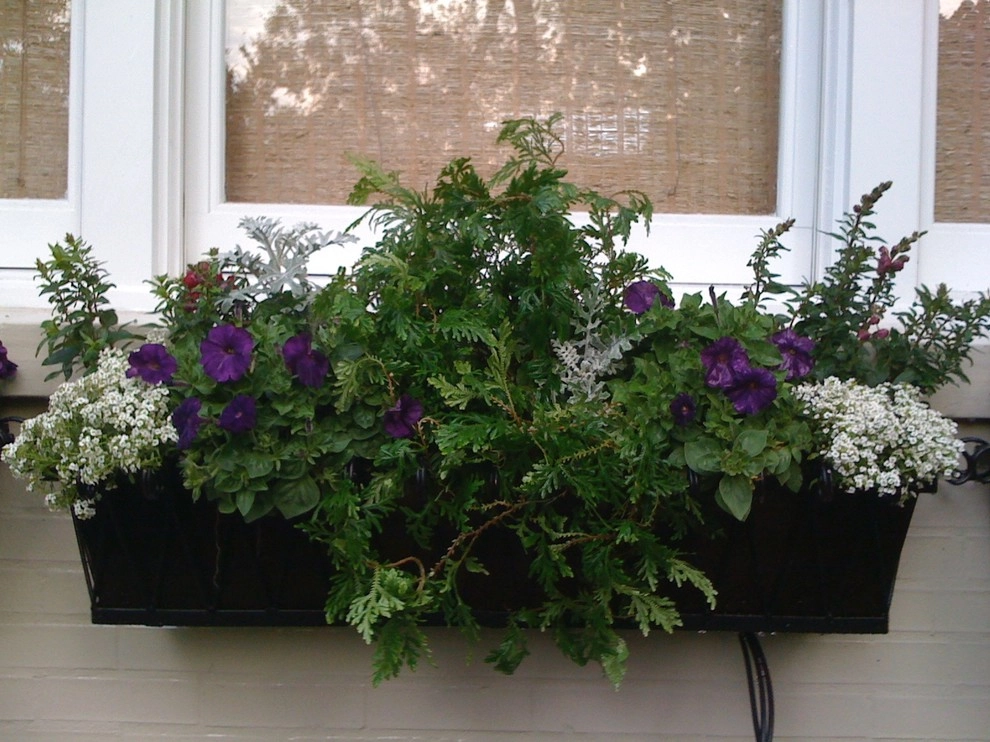 Garden Containers by Ross Garden Design - Photo 10