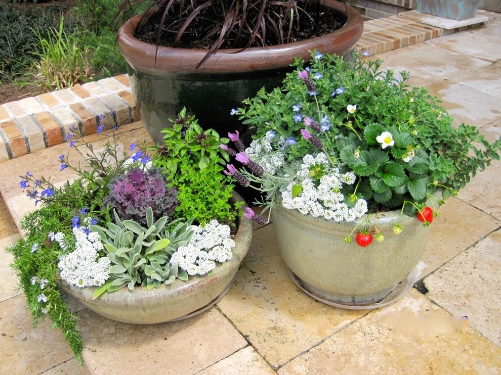 Garden Containers by Ross Garden Design - Photo 3
