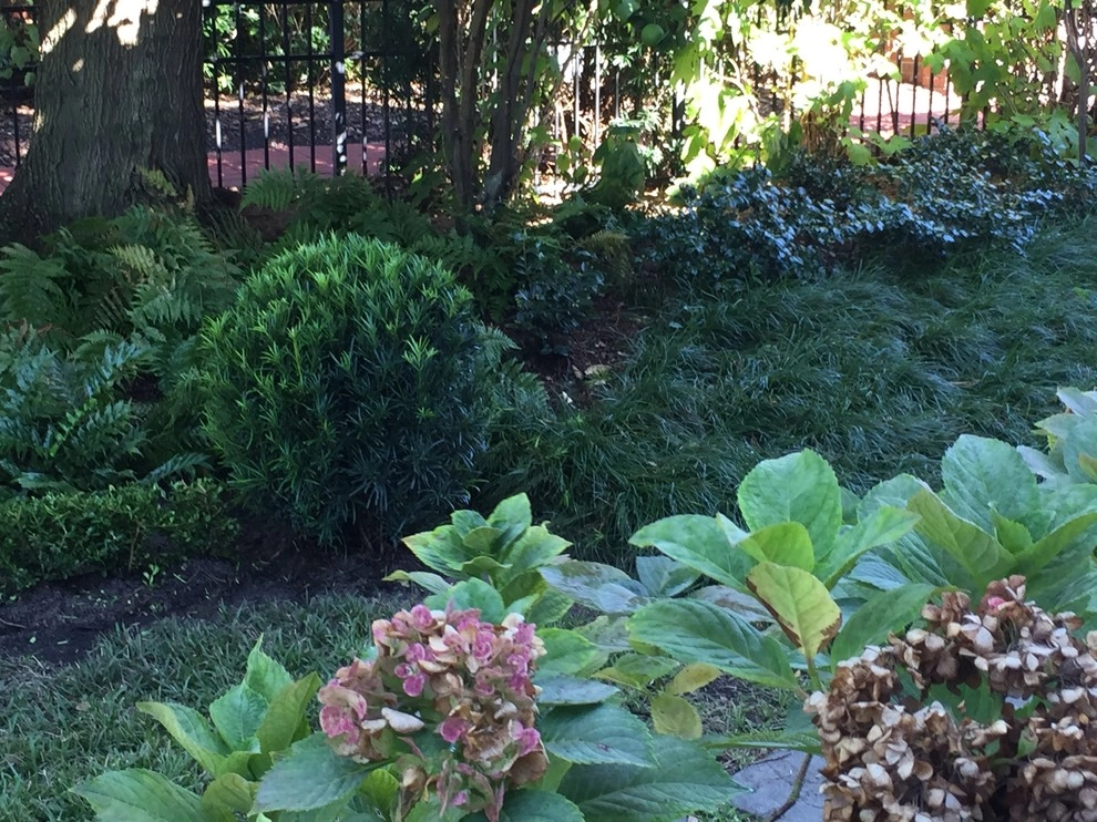 Ross Garden Design - Photo 4