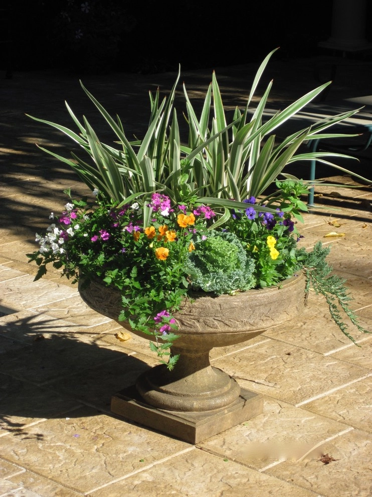Garden Containers by Ross Garden Design - Photo 7