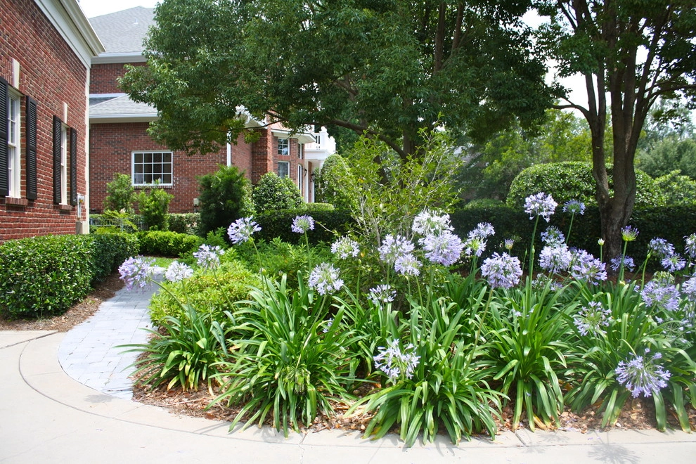Ortega Island by Ross Garden Design - Photo 4