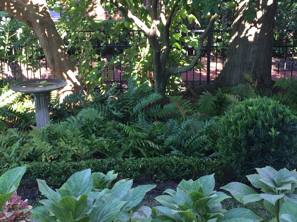Ross Garden Design - Photo 5