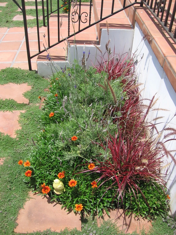 Front Yard - Mission Hills, San Diego by Austin Design - Landscape & Garden - Photo 7