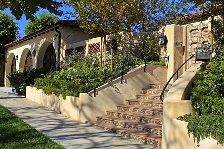 Austin Design - Landscape & Garden - Photo 10