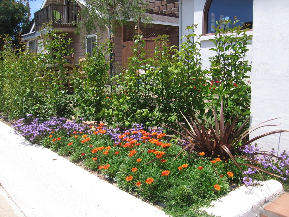 Front Yard - Mission Hills, San Diego by Austin Design - Landscape & Garden - Photo 5