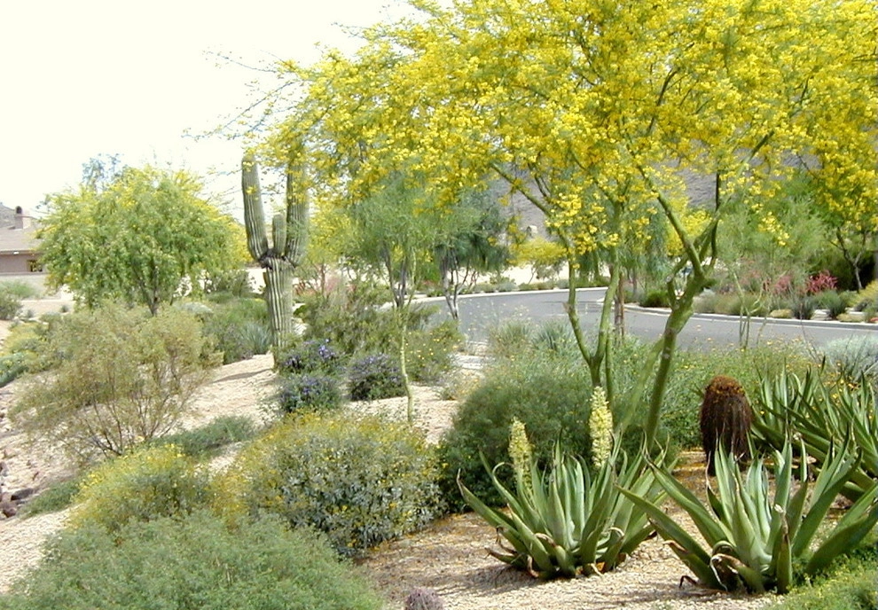 Stetson Hills by Ruben Valenzuela, Landscape Architect - Photo 3