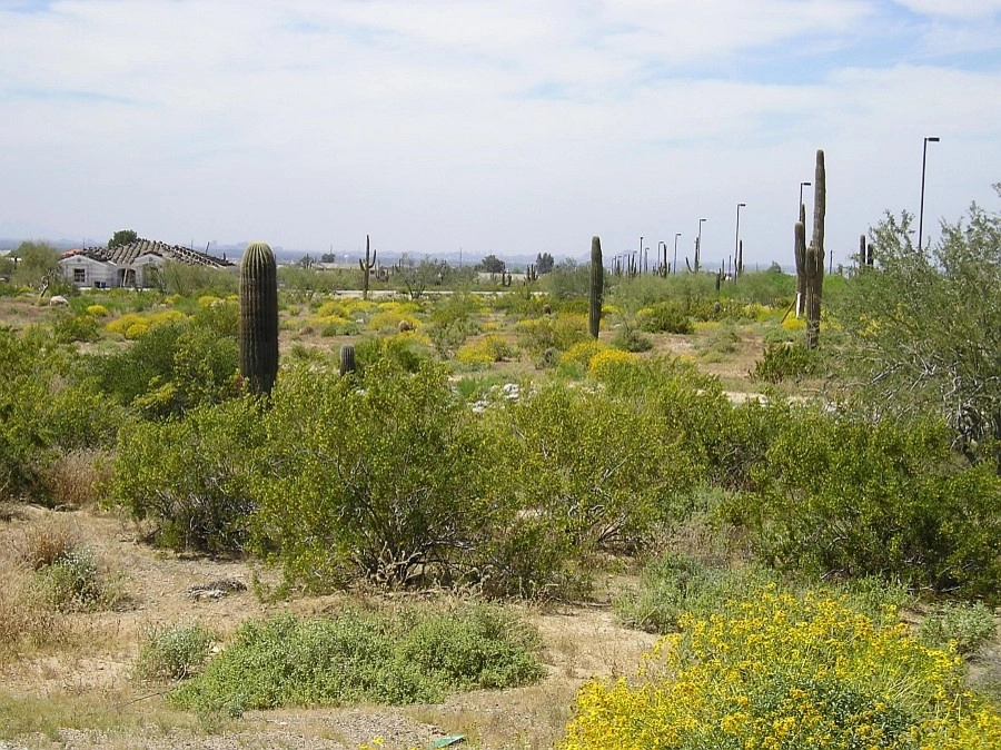Ruben Valenzuela, Landscape Architect - Photo 13