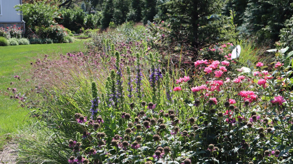Hillside Pollinator Garden by Austin Ganim Landscape Design, LLC - Photo 8