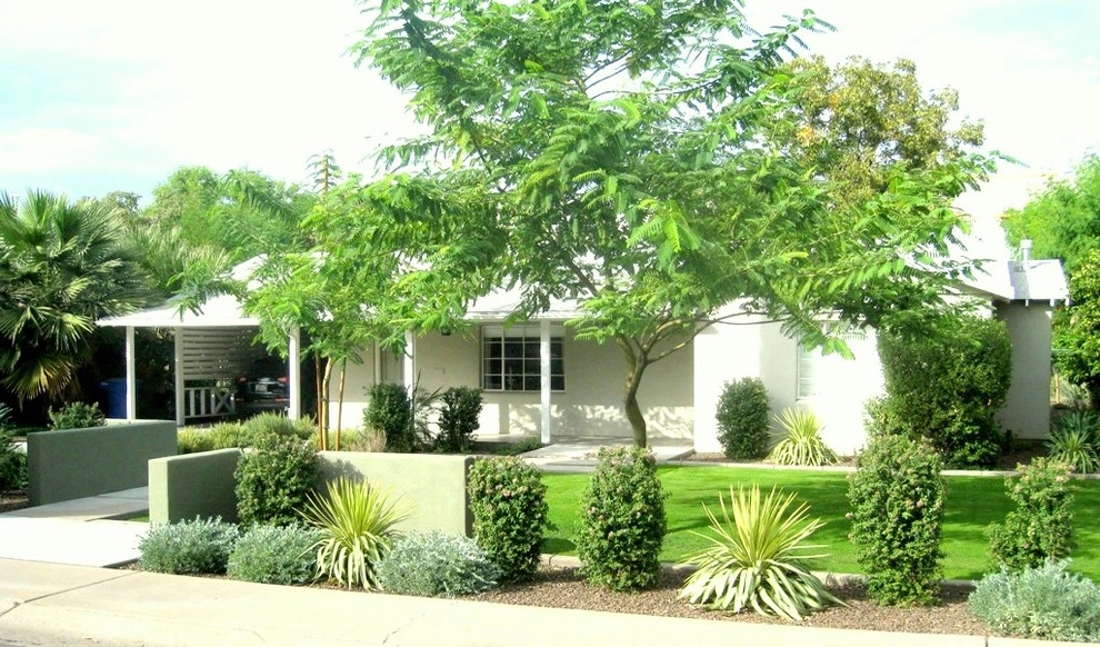 Watson Residence by Ruben Valenzuela, Landscape Architect - Photo 4