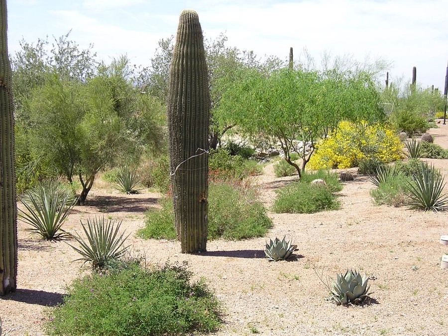Ruben Valenzuela, Landscape Architect - Photo 6
